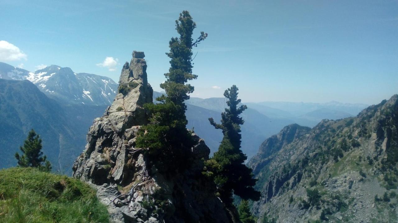 Gite Au Printemps Japonais, Petit Train De La Mure, Parc Des Ecrins Pierre-Chatel Exteriér fotografie