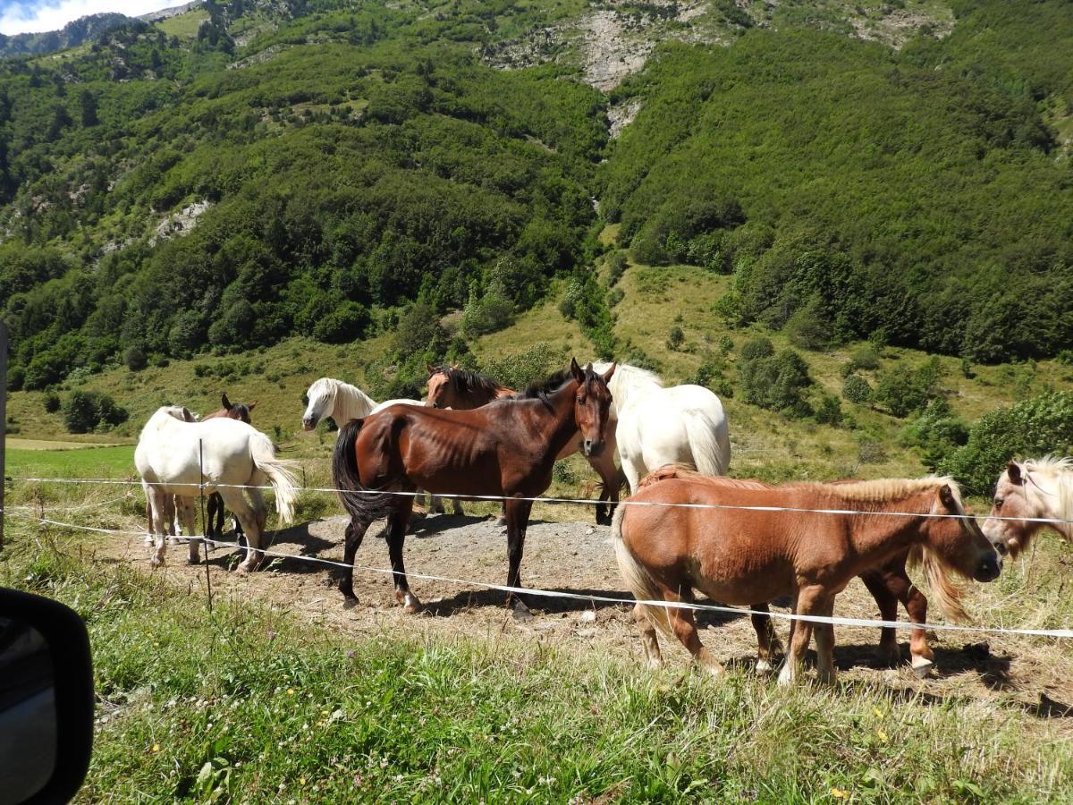 Gite Au Printemps Japonais, Petit Train De La Mure, Parc Des Ecrins Pierre-Chatel Exteriér fotografie